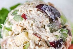 Fancy Chicken Salad Chick: A Gourmet Recipe Quick Salad Recipes for Healthy Salad Ideas to Boost Your Nutrition Fancy Chicken Salad Chick: A Gourmet Recipe | Quick Salad Recipes for Healthy Salad Ideas to Boost Your Nutrition