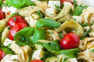 Best Tortellini Pasta Salad Recipe Quick Salad Recipes for Healthy Salad Ideas to Boost Your Nutrition Best Tortellini Pasta Salad Recipe | Quick Salad Recipes for Healthy Salad Ideas to Boost Your Nutrition