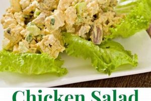 Best Sassy Scotty Chicken Salad Chick Recipe Copycat Quick Salad Recipes for Healthy Salad Ideas to Boost Your Nutrition Best Sassy Scotty Chicken Salad Chick Recipe Copycat | Quick Salad Recipes for Healthy Salad Ideas to Boost Your Nutrition