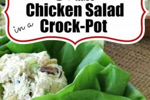 Easy Crock-Pot Chicken Salad Recipe: A Classic Quick Salad Recipes for Healthy Salad Ideas to Boost Your Nutrition Easy Crock-Pot Chicken Salad Recipe: A Classic | Quick Salad Recipes for Healthy Salad Ideas to Boost Your Nutrition