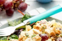 Easy Curry Chicken Grape Salad Recipe Quick Salad Recipes for Healthy Salad Ideas to Boost Your Nutrition Easy Curry Chicken Grape Salad Recipe | Quick Salad Recipes for Healthy Salad Ideas to Boost Your Nutrition