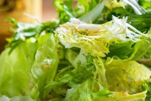 Best Via Carota Salad Recipe Copycat Quick Salad Recipes for Healthy Salad Ideas to Boost Your Nutrition Best Via Carota Salad Recipe Copycat | Quick Salad Recipes for Healthy Salad Ideas to Boost Your Nutrition