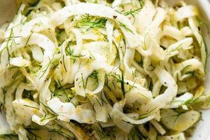 Best Fennel Bulb Salad Recipes for You Quick Salad Recipes for Healthy Salad Ideas to Boost Your Nutrition Best Fennel Bulb Salad Recipes for You | Quick Salad Recipes for Healthy Salad Ideas to Boost Your Nutrition