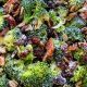 Recipe For Broccoli Salad With Bacon And Raisins | Quick Salad Recipes for Healthy Salad Ideas to Boost Your Nutrition