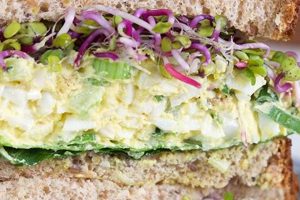 Best Ever Egg Salad Sandwich Recipe Quick Salad Recipes for Healthy Salad Ideas to Boost Your Nutrition Best Ever Egg Salad Sandwich Recipe | Quick Salad Recipes for Healthy Salad Ideas to Boost Your Nutrition