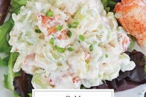 The Best Lobster Salad Recipe Ever: A Classic Quick Salad Recipes for Healthy Salad Ideas to Boost Your Nutrition The Best Lobster Salad Recipe Ever: A Classic | Quick Salad Recipes for Healthy Salad Ideas to Boost Your Nutrition