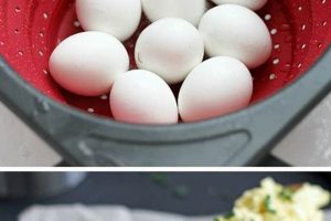 Best Food Network Egg Salad Recipes: Easy & Delicious Quick Salad Recipes for Healthy Salad Ideas to Boost Your Nutrition Best Food Network Egg Salad Recipes: Easy & Delicious | Quick Salad Recipes for Healthy Salad Ideas to Boost Your Nutrition