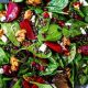 Beetroot And Spinach Salad Recipe | Quick Salad Recipes for Healthy Salad Ideas to Boost Your Nutrition