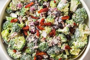 Best Healthy Broccoli Salad Recipe (No Mayo) Quick Salad Recipes for Healthy Salad Ideas to Boost Your Nutrition Best Healthy Broccoli Salad Recipe (No Mayo) | Quick Salad Recipes for Healthy Salad Ideas to Boost Your Nutrition