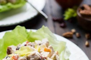 Easy Chicken Salad with Apples Recipe & Tips Quick Salad Recipes for Healthy Salad Ideas to Boost Your Nutrition Easy Chicken Salad with Apples Recipe & Tips | Quick Salad Recipes for Healthy Salad Ideas to Boost Your Nutrition