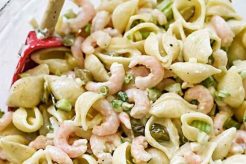 Recipe For Pasta Salad With Shrimp Quick Salad Recipes for Healthy Salad Ideas to Boost Your Nutrition Recipe For Pasta Salad With Shrimp | Quick Salad Recipes for Healthy Salad Ideas to Boost Your Nutrition