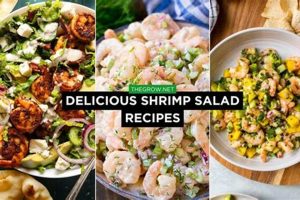 Classic & Easy Great Shrimp Salad Recipes Quick Salad Recipes for Healthy Salad Ideas to Boost Your Nutrition Classic & Easy Great Shrimp Salad Recipes | Quick Salad Recipes for Healthy Salad Ideas to Boost Your Nutrition
