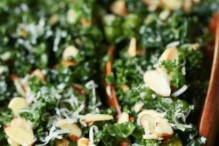 Best NYT Salad Recipes: Easy & Healthy Quick Salad Recipes for Healthy Salad Ideas to Boost Your Nutrition Best NYT Salad Recipes: Easy & Healthy | Quick Salad Recipes for Healthy Salad Ideas to Boost Your Nutrition