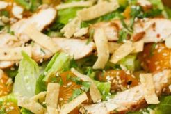 Copycat Panera Asian Chicken Salad Recipe Quick Salad Recipes for Healthy Salad Ideas to Boost Your Nutrition Copycat Panera Asian Chicken Salad Recipe | Quick Salad Recipes for Healthy Salad Ideas to Boost Your Nutrition