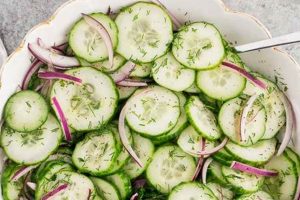 Easy & Refreshing Cucumber Salad Recipes Quick Salad Recipes for Healthy Salad Ideas to Boost Your Nutrition Easy & Refreshing Cucumber Salad Recipes | Quick Salad Recipes for Healthy Salad Ideas to Boost Your Nutrition
