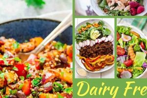 Dairy Free Salad Recipes Quick Salad Recipes for Healthy Salad Ideas to Boost Your Nutrition Dairy Free Salad Recipes | Quick Salad Recipes for Healthy Salad Ideas to Boost Your Nutrition