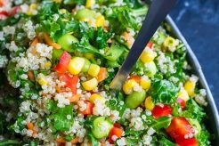 Best Quinoa Salad Dressing Recipe Quick Salad Recipes for Healthy Salad Ideas to Boost Your Nutrition Best Quinoa Salad Dressing Recipe | Quick Salad Recipes for Healthy Salad Ideas to Boost Your Nutrition