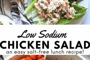 Healthy Low Sodium Chicken Salad Recipe Quick Salad Recipes for Healthy Salad Ideas to Boost Your Nutrition Healthy Low Sodium Chicken Salad Recipe | Quick Salad Recipes for Healthy Salad Ideas to Boost Your Nutrition