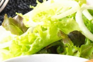 Easy Teriyaki Salad Dressing Recipe: Homemade & Healthy Quick Salad Recipes for Healthy Salad Ideas to Boost Your Nutrition Easy Teriyaki Salad Dressing Recipe: Homemade & Healthy | Quick Salad Recipes for Healthy Salad Ideas to Boost Your Nutrition