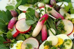 Best Salad Turnip Recipes: Easy & Healthy Quick Salad Recipes for Healthy Salad Ideas to Boost Your Nutrition Best Salad Turnip Recipes: Easy & Healthy | Quick Salad Recipes for Healthy Salad Ideas to Boost Your Nutrition