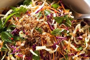 Asian Slaw Salad Recipe Quick Salad Recipes for Healthy Salad Ideas to Boost Your Nutrition Asian Slaw Salad Recipe | Quick Salad Recipes for Healthy Salad Ideas to Boost Your Nutrition