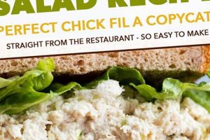 Best-Ever Copycat Chicken Salad Recipe (Easy!) Quick Salad Recipes for Healthy Salad Ideas to Boost Your Nutrition Best-Ever Copycat Chicken Salad Recipe (Easy!) | Quick Salad Recipes for Healthy Salad Ideas to Boost Your Nutrition