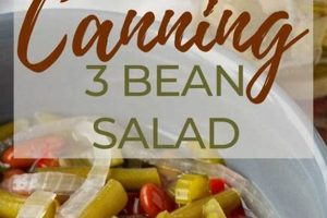 Canning 3 Bean Salad: A Simple Recipe Quick Salad Recipes for Healthy Salad Ideas to Boost Your Nutrition Canning 3 Bean Salad: A Simple Recipe | Quick Salad Recipes for Healthy Salad Ideas to Boost Your Nutrition