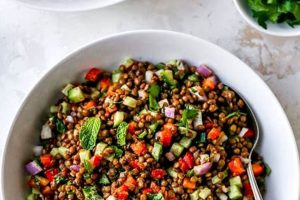 Easy Simple Lentil Salad Recipe (Vegan) Quick Salad Recipes for Healthy Salad Ideas to Boost Your Nutrition Easy Simple Lentil Salad Recipe (Vegan) | Quick Salad Recipes for Healthy Salad Ideas to Boost Your Nutrition