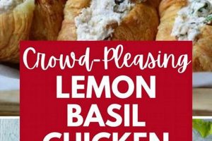 Easy Chicken Basil Salad Recipe: A Flavorful Dish Quick Salad Recipes for Healthy Salad Ideas to Boost Your Nutrition Easy Chicken Basil Salad Recipe: A Flavorful Dish | Quick Salad Recipes for Healthy Salad Ideas to Boost Your Nutrition