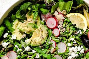 Ultimate Best Spring Salad Recipe (Easy & Fresh) Quick Salad Recipes for Healthy Salad Ideas to Boost Your Nutrition Ultimate Best Spring Salad Recipe (Easy & Fresh) | Quick Salad Recipes for Healthy Salad Ideas to Boost Your Nutrition