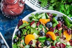 Easy Blueberry Salad Dressing Recipe & Vinaigrette Quick Salad Recipes for Healthy Salad Ideas to Boost Your Nutrition Easy Blueberry Salad Dressing Recipe & Vinaigrette | Quick Salad Recipes for Healthy Salad Ideas to Boost Your Nutrition