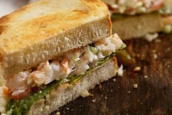 Easy & Delicious Shrimp Salad Sandwich Recipes Quick Salad Recipes for Healthy Salad Ideas to Boost Your Nutrition Easy & Delicious Shrimp Salad Sandwich Recipes | Quick Salad Recipes for Healthy Salad Ideas to Boost Your Nutrition