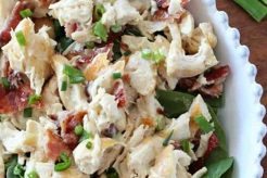 Easy Paleo Chicken Salad Recipe & Guide Quick Salad Recipes for Healthy Salad Ideas to Boost Your Nutrition Easy Paleo Chicken Salad Recipe & Guide | Quick Salad Recipes for Healthy Salad Ideas to Boost Your Nutrition