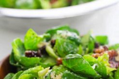 Best Brussel Sprouts Salad Recipes Ever! Quick Salad Recipes for Healthy Salad Ideas to Boost Your Nutrition Best Brussel Sprouts Salad Recipes Ever! | Quick Salad Recipes for Healthy Salad Ideas to Boost Your Nutrition