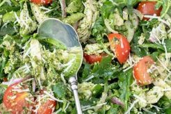 Easy Chicken & Pesto Salad Recipe (Quick & Simple) Quick Salad Recipes for Healthy Salad Ideas to Boost Your Nutrition Easy Chicken & Pesto Salad Recipe (Quick & Simple) | Quick Salad Recipes for Healthy Salad Ideas to Boost Your Nutrition