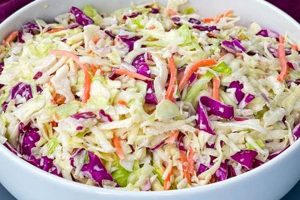 Basic Coleslaw Salad Recipe Quick Salad Recipes for Healthy Salad Ideas to Boost Your Nutrition Basic Coleslaw Salad Recipe | Quick Salad Recipes for Healthy Salad Ideas to Boost Your Nutrition