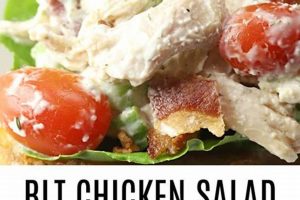 Copycat Firehouse Subs Chicken Salad Recipe Quick Salad Recipes for Healthy Salad Ideas to Boost Your Nutrition Copycat Firehouse Subs Chicken Salad Recipe | Quick Salad Recipes for Healthy Salad Ideas to Boost Your Nutrition
