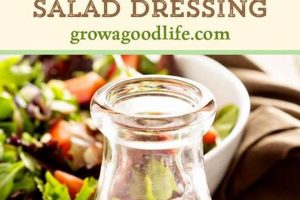 Easy Strawberry Salad Dressing Recipe (5-Minutes) Quick Salad Recipes for Healthy Salad Ideas to Boost Your Nutrition Easy Strawberry Salad Dressing Recipe (5-Minutes) | Quick Salad Recipes for Healthy Salad Ideas to Boost Your Nutrition