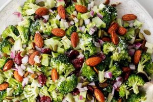The Best Broccoli Salad Recipe Ever: A Classic Quick Salad Recipes for Healthy Salad Ideas to Boost Your Nutrition The Best Broccoli Salad Recipe Ever: A Classic | Quick Salad Recipes for Healthy Salad Ideas to Boost Your Nutrition