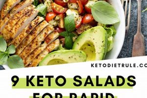 Best Low Carb Salad Recipes for Weight Loss Success Quick Salad Recipes for Healthy Salad Ideas to Boost Your Nutrition Best Low Carb Salad Recipes for Weight Loss Success | Quick Salad Recipes for Healthy Salad Ideas to Boost Your Nutrition