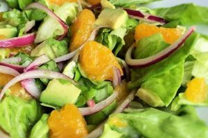 Best Avocado Lettuce Salad Recipes: Easy & Healthy Quick Salad Recipes for Healthy Salad Ideas to Boost Your Nutrition Best Avocado Lettuce Salad Recipes: Easy & Healthy | Quick Salad Recipes for Healthy Salad Ideas to Boost Your Nutrition