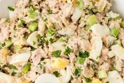 Tuna Salad Recipe With Egg And Mayo Quick Salad Recipes for Healthy Salad Ideas to Boost Your Nutrition Tuna Salad Recipe With Egg And Mayo | Quick Salad Recipes for Healthy Salad Ideas to Boost Your Nutrition