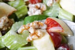 Waldorf Salad Recipe With Yogurt Quick Salad Recipes for Healthy Salad Ideas to Boost Your Nutrition Waldorf Salad Recipe With Yogurt | Quick Salad Recipes for Healthy Salad Ideas to Boost Your Nutrition
