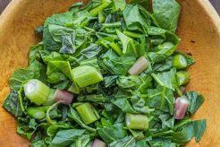 Classic Polk Salad Recipe & Cooking Guide Quick Salad Recipes for Healthy Salad Ideas to Boost Your Nutrition Classic Polk Salad Recipe & Cooking Guide | Quick Salad Recipes for Healthy Salad Ideas to Boost Your Nutrition