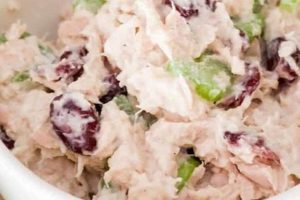 Classic Cranberry Tuna Salad Recipe: Easy & Delicious Quick Salad Recipes for Healthy Salad Ideas to Boost Your Nutrition Classic Cranberry Tuna Salad Recipe: Easy & Delicious | Quick Salad Recipes for Healthy Salad Ideas to Boost Your Nutrition