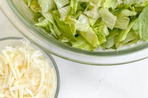 Hearty Hungry Lady Salad Recipes for Big Appetites | Quick Salad Recipes for Healthy Salad Ideas to Boost Your Nutrition