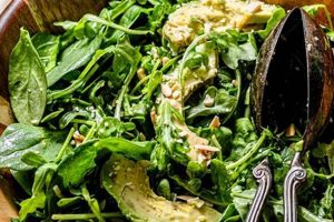 Best Spinach Arugula Salad Recipe Ever! Quick Salad Recipes for Healthy Salad Ideas to Boost Your Nutrition Best Spinach Arugula Salad Recipe Ever! | Quick Salad Recipes for Healthy Salad Ideas to Boost Your Nutrition