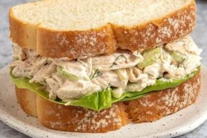Easy Ground Chicken Salad Sandwich Recipe Quick Salad Recipes for Healthy Salad Ideas to Boost Your Nutrition Easy Ground Chicken Salad Sandwich Recipe | Quick Salad Recipes for Healthy Salad Ideas to Boost Your Nutrition