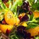 Easy Orange Mandarin Salad Recipe: Citrus Delight | Quick Salad Recipes for Healthy Salad Ideas to Boost Your Nutrition