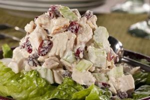 Healthy Diabetic Chicken Salad Recipes for You Quick Salad Recipes for Healthy Salad Ideas to Boost Your Nutrition Healthy Diabetic Chicken Salad Recipes for You | Quick Salad Recipes for Healthy Salad Ideas to Boost Your Nutrition